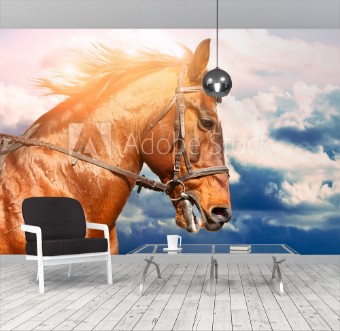 Picture of Portrait of bay horse in the background of the cloudy sky